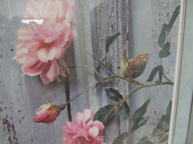 Large Framed Signed &amp Numbered Bird Print