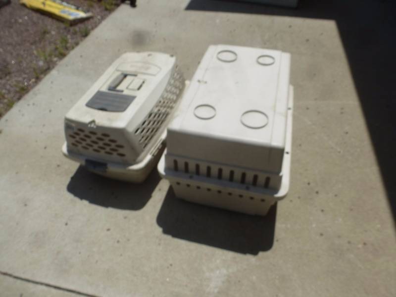 DogCat Kennels