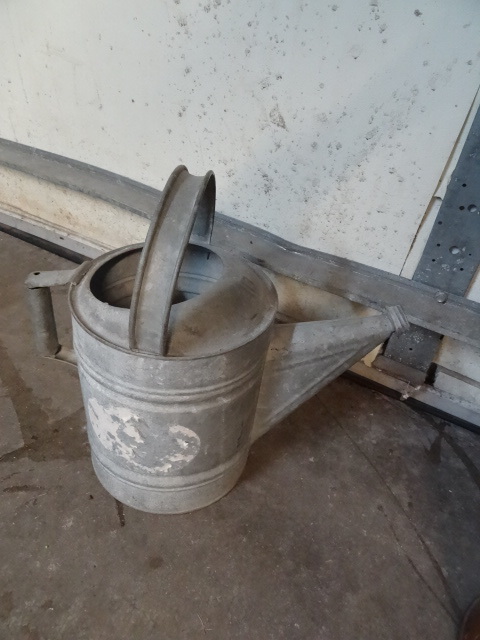 Vintage #10 galvanized watering can...