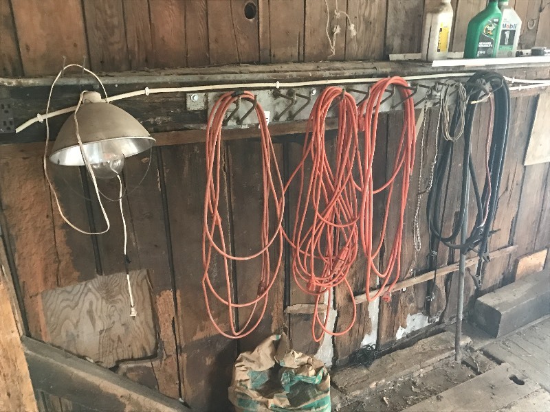 lot 11 image: Work Light, Extension Cords, Jumper Cables