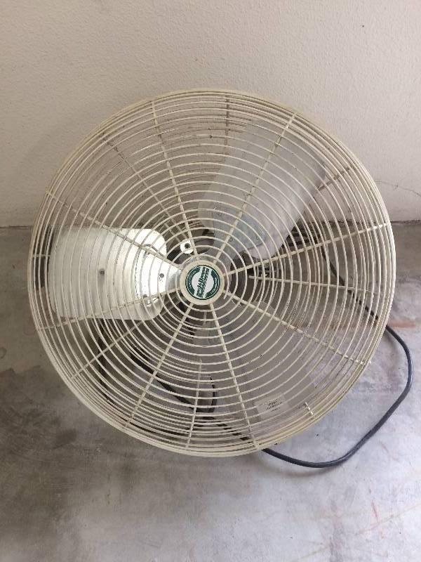Shop Fan