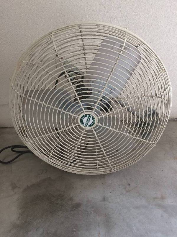 Shop Fan