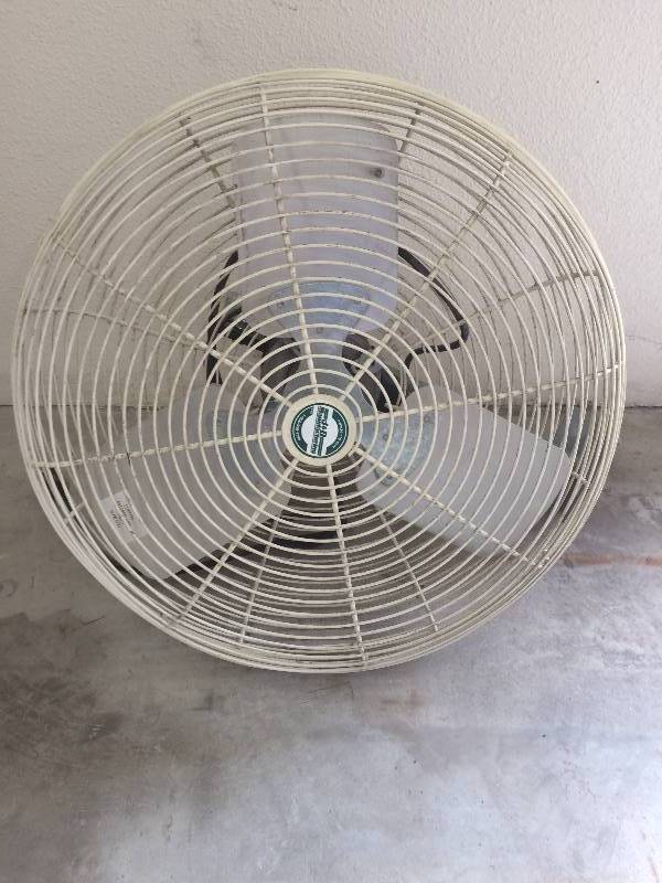 Shop Fan