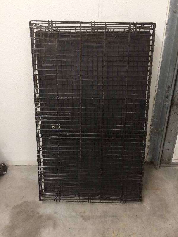 Dog Kennel