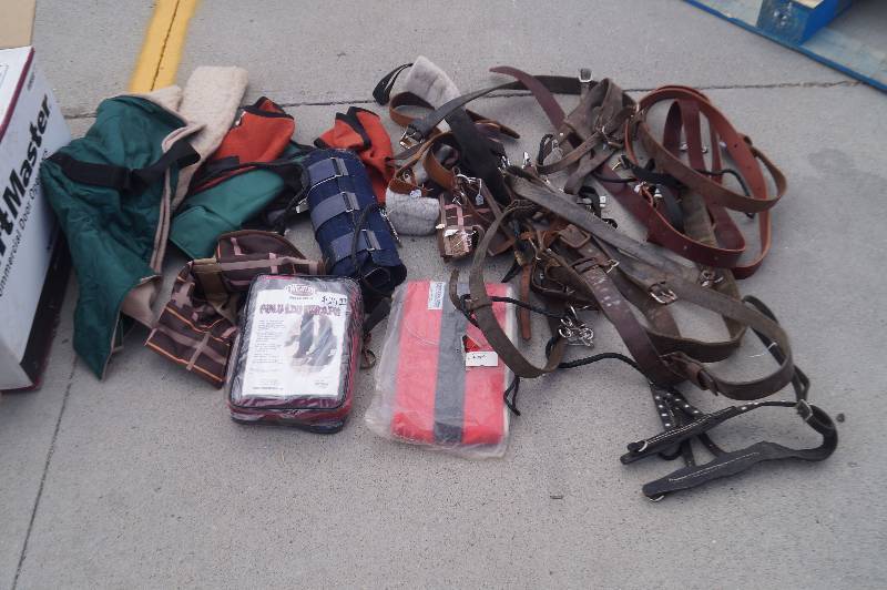 lot 21 image: Horse Leg WrapsReins