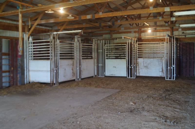 lot 49 image: Steel Cattle Stall
