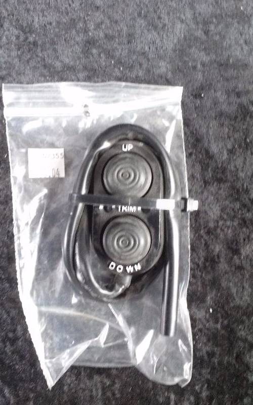lot 969 image: TH Marine Transom Trim Control, TTC-1-DP