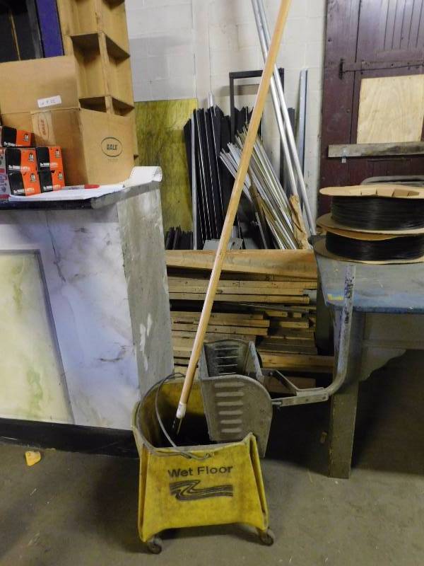 Mop Bucket with Mop