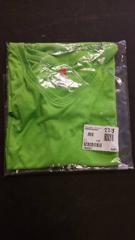 lot 2213 image: Hanes Womens Cool DRI V-Neck T-Shirt 2XL