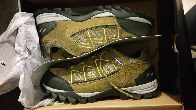 lot 2587 image: Dickies Mens Solo Steel Toe Shoe - Brown 11