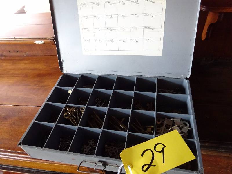 lot 29 image: Lot of Skeleton Key Blanks