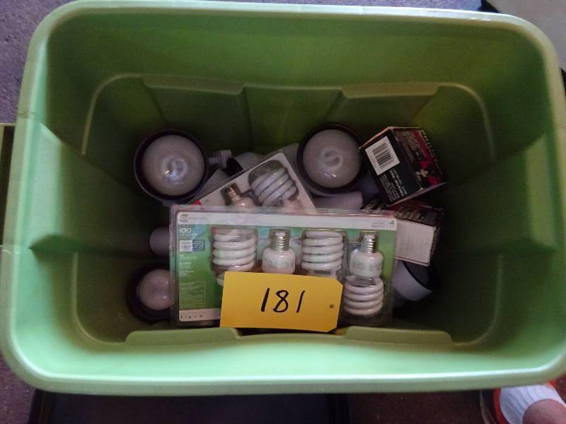 lot 181 image: Track Lights, Bulbs, fit on #51