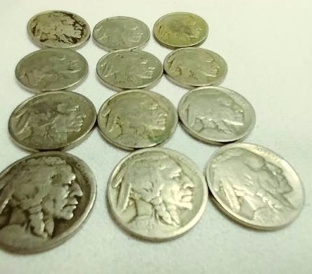11 Buffalo Nickels