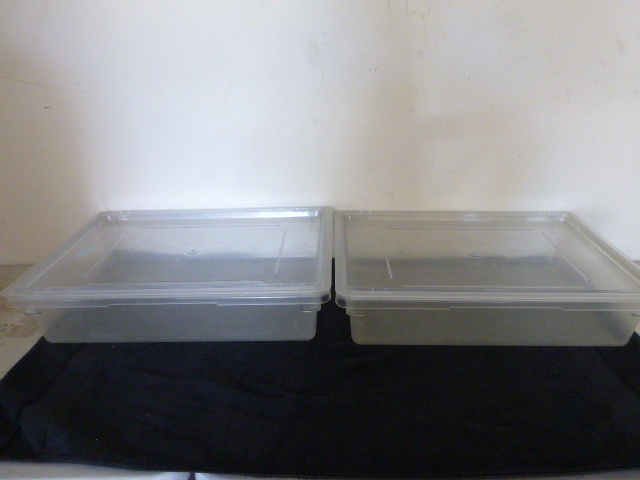 lot 17 image: 2 Cambro Tubs with Lids