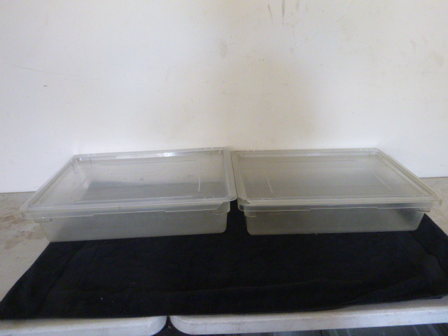 lot 19 image: 2 Cambro Tubs with Lids