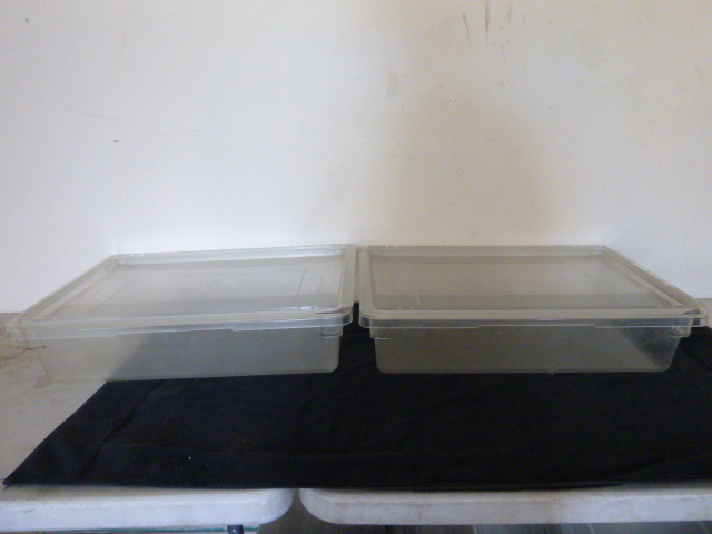 lot 20 image: 2 Cambro Tubs with Lids