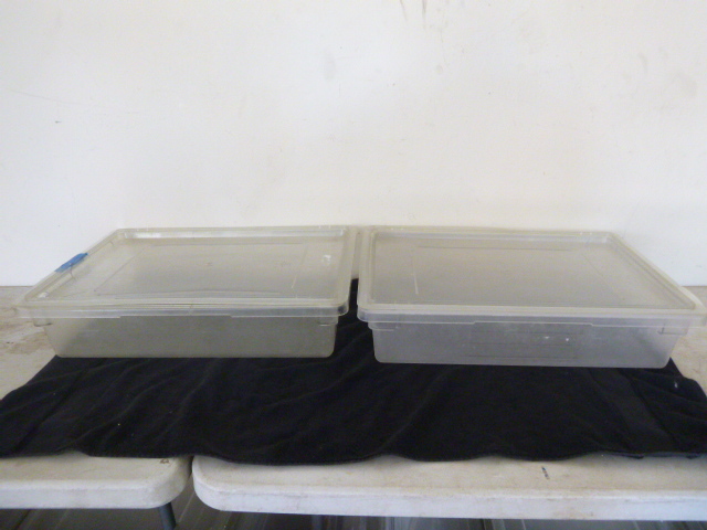 lot 22 image: 2 Cambro Tubs with Lids