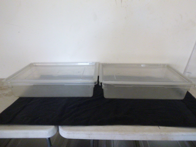 lot 24 image: 2 Cambro Tubs with Lids