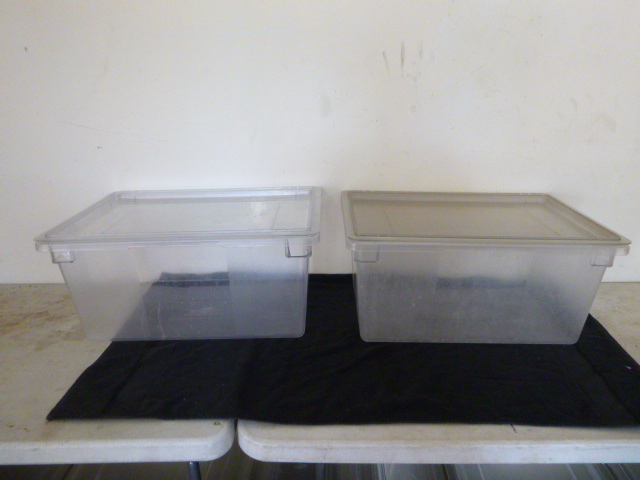 lot 25 image: 2 Cambro Tubs with Lids