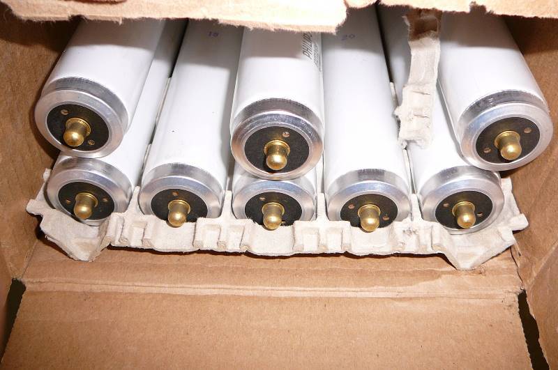 6 Fluorescent Light Bulbs