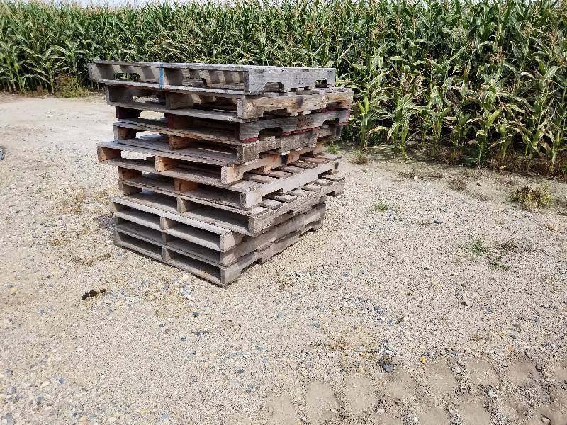 lot 21 image: 10 used Pallets