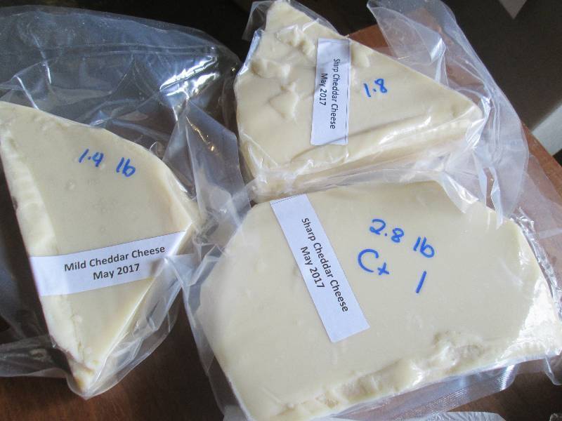 lot 1 image: 6.0 lb.Chunk Sharp Cheddar Cheese P...