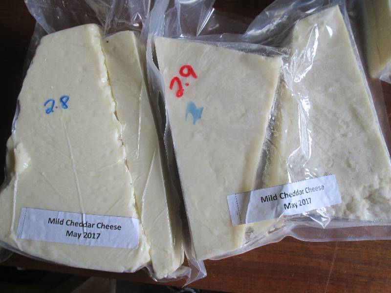 lot 14 image: 5.7 lb.Chunk Mild Cheddar Cheese Pr...