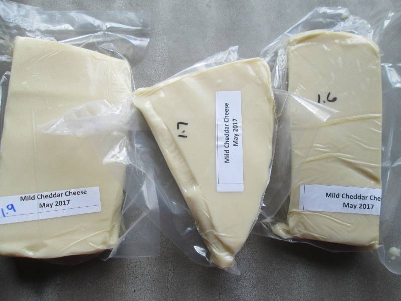 lot 20 image: 5.2 lb.Chunk Mild Cheddar Cheese Pr...