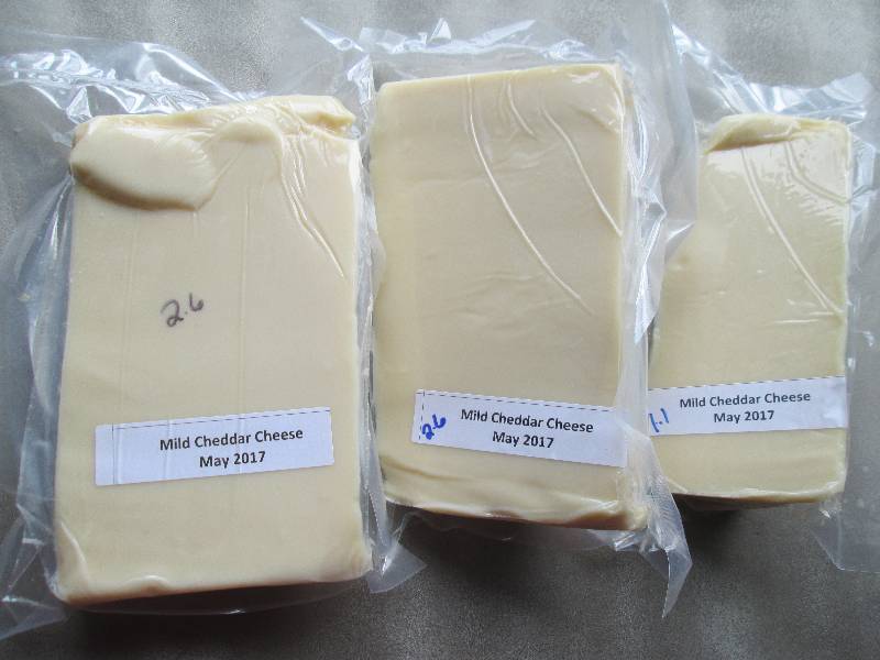 lot 22 image: 9.6 lb.Chunk Mild Cheddar Cheese Pr...