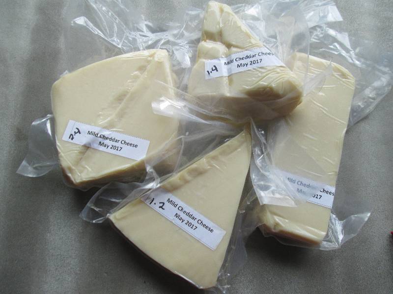lot 24 image: 6.6 lb.Chunk Mild Cheddar Cheese Pr...