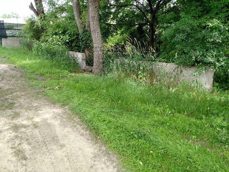 lot 246 image: (5) 10 Concrete Barriers...