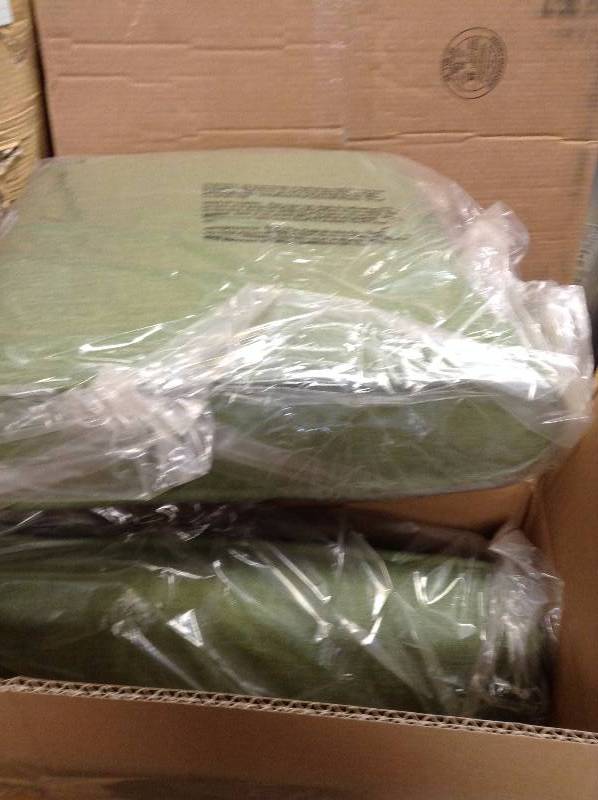 lot 30 image: Hampton Bay 2-pack Replacement Cushions Only  New