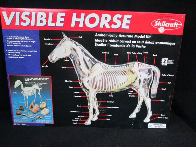 lot 27 image: Skilcraft Visible Horse Model