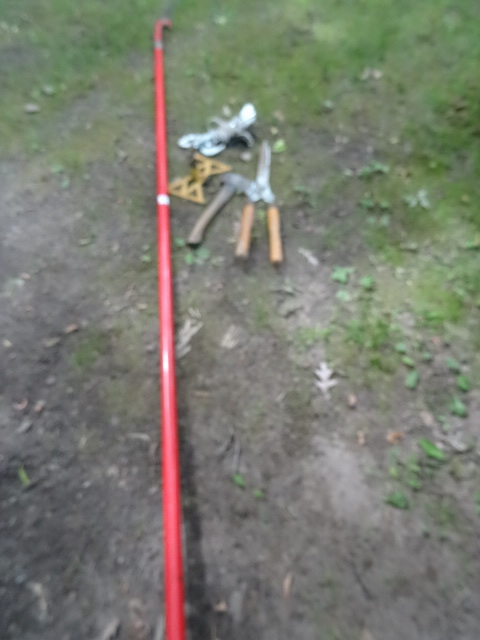 lot 256 image: Tree Trimmer, Hedge Slippers,