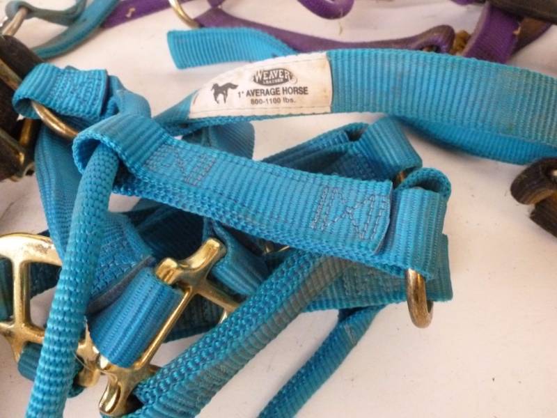 lot 180 image: Horse Equipment