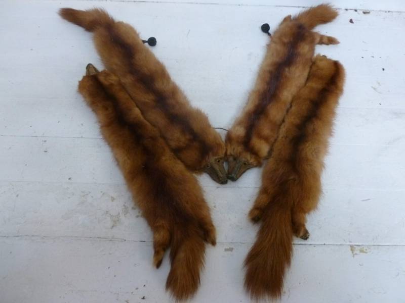 lot 218 image: Vintage Mink Shawl