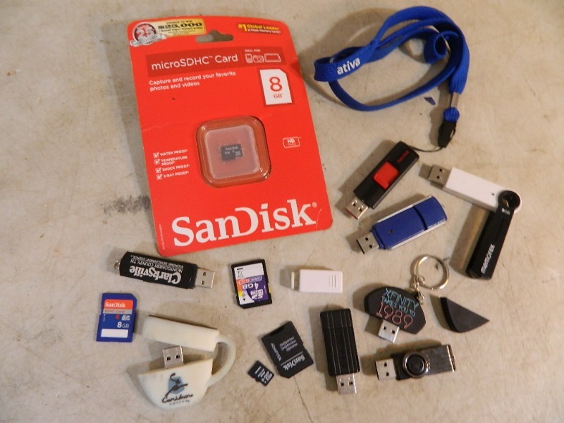 lot 107 image: Memory Cards, Thumb Drives, and More