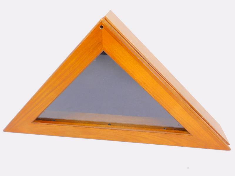 lot 19 image: Flag Display Case
