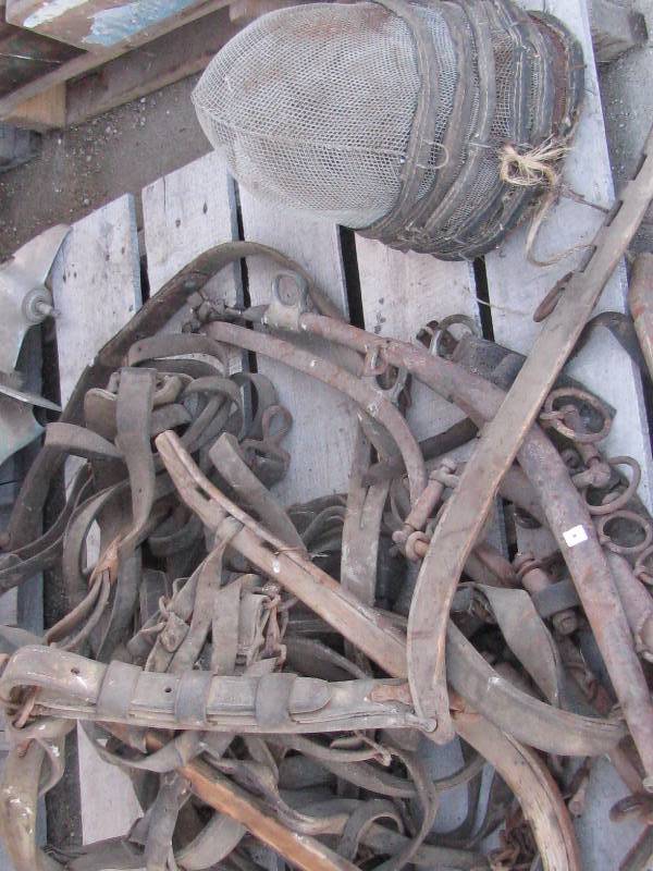 lot 6 image: Harnesss & Hames & Feeders