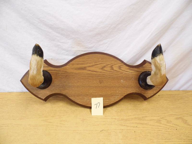 Deer Coat Rack