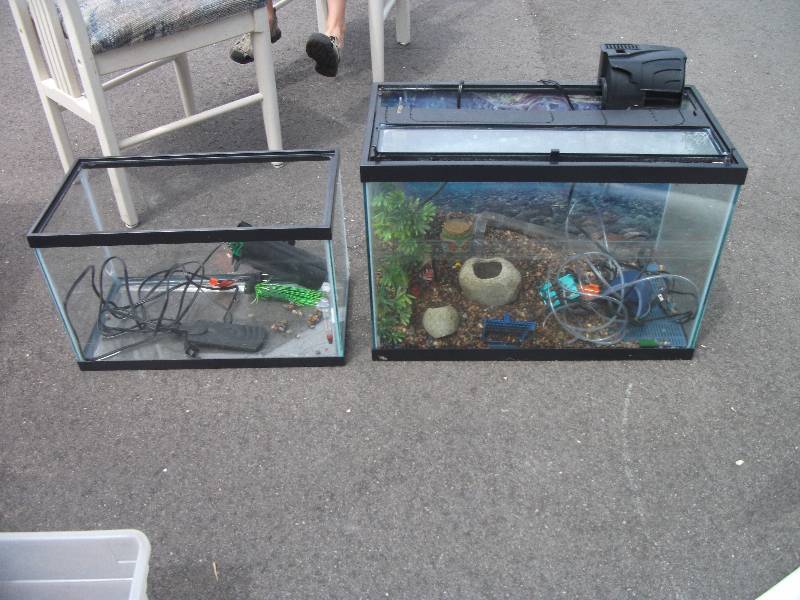 lot 8 image: 1-Aquarium, 1- Reptile Tank (Not For Water)