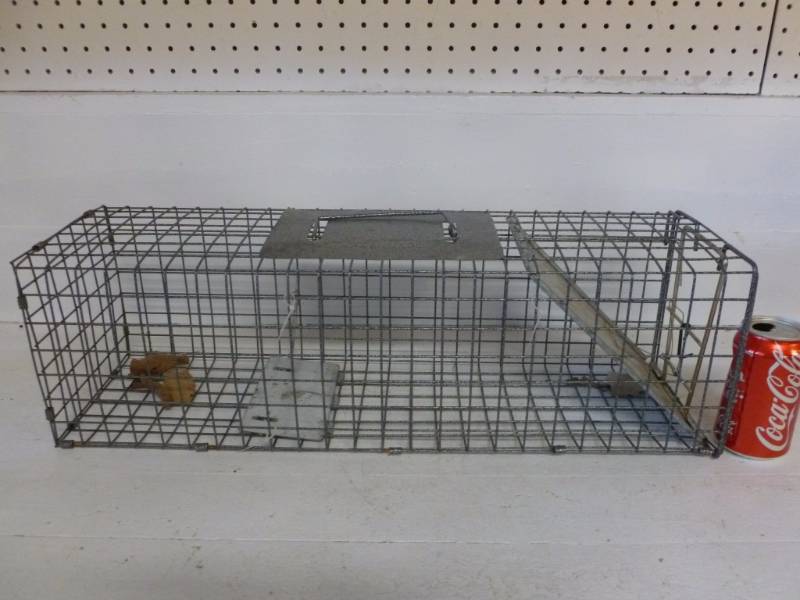 lot 267 image: Live Trap