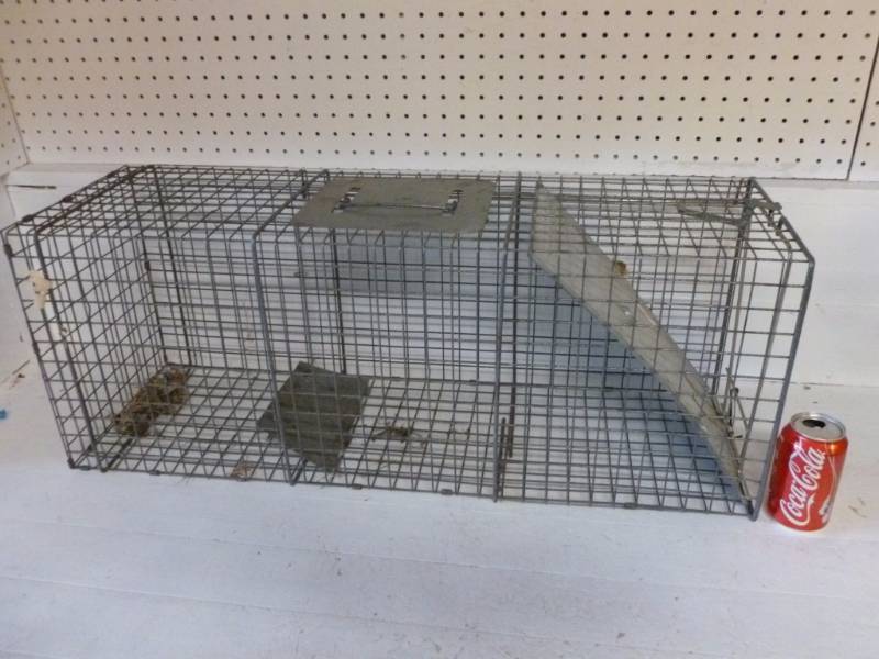 lot 268 image: Live Trap