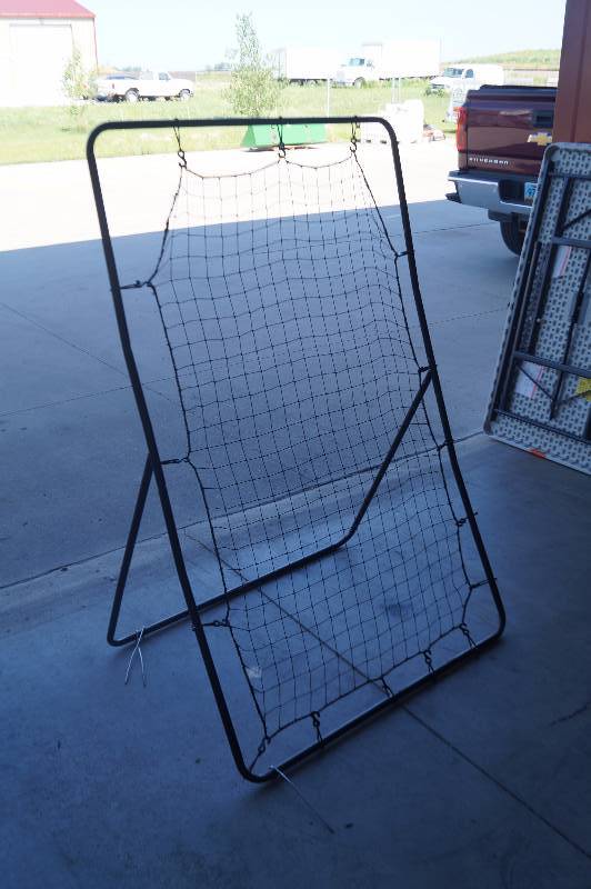 Baseball Pitch Return Net