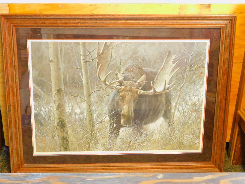 Robert Bateman The Challenge Bull Moose Signed & Numbered Framed Print