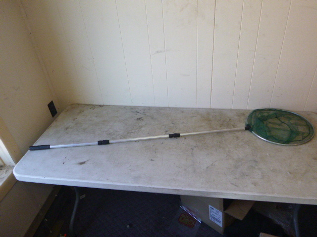 lot 157 image: Telescoping ButterflyLanding Net