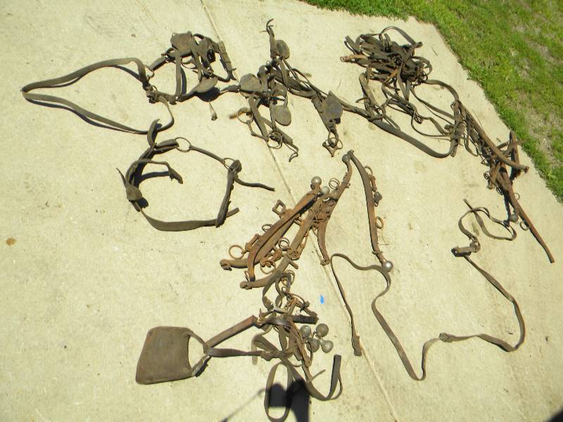 lot 271 image: Horse Accessory Lot