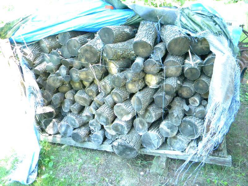 lot 289 image: Lot of Firewood