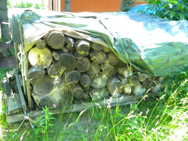 lot 290 image: Lot of Firewood