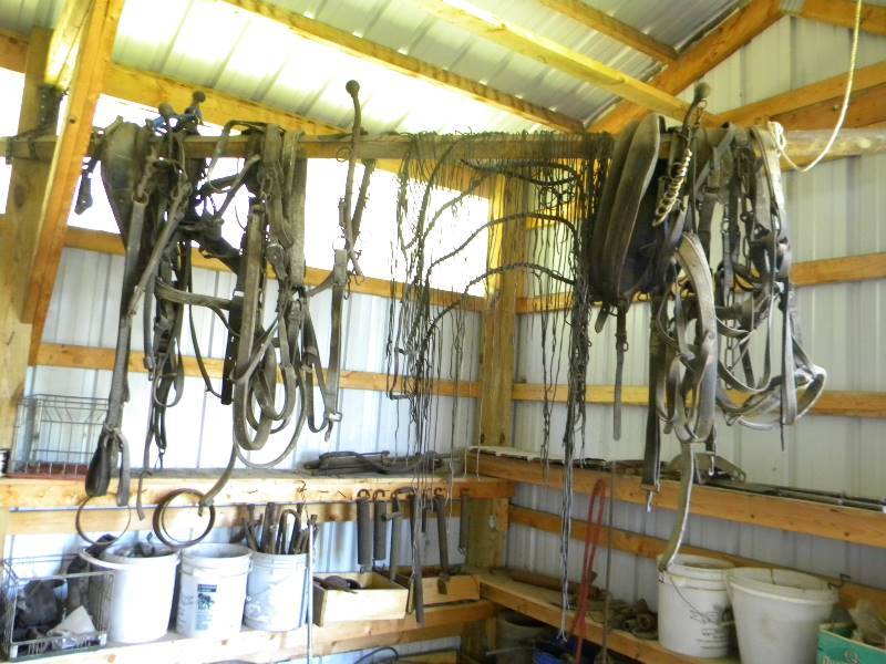 lot 427 image: Horse Tack Lot